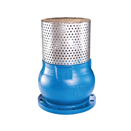 CREPINE EN FONTE AVEC CLAPET BRIDE CPH Hydraulique